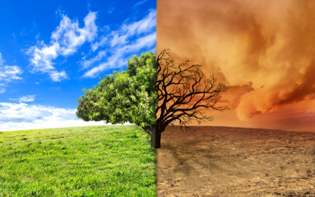 Klimaendringer